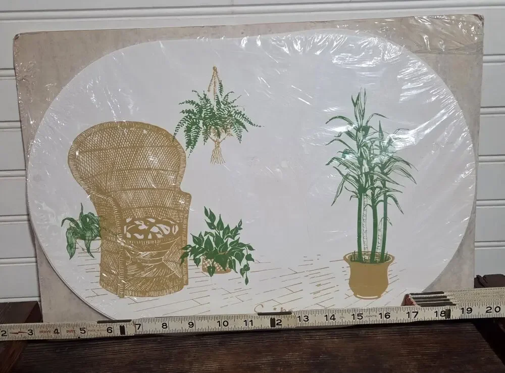 Vintage Erika Oval Placemat Set 1970s Boho Wicker Peacock Chair Houseplants NOS
